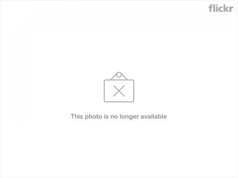 Taisiya Vilkova Bender