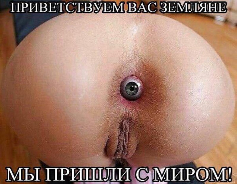 Giant anal traffic jam