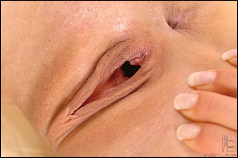 Beautiful female vaginas