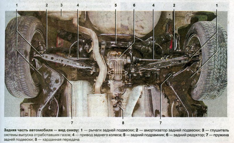 Fuck between large boobs