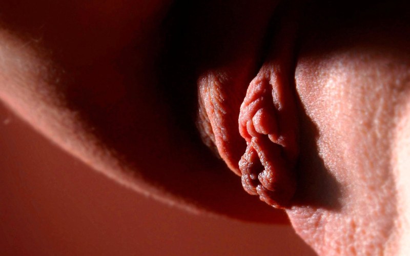 Beautiful female genitals