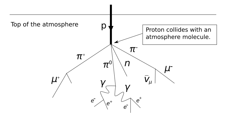 Lower pelvic aperture
