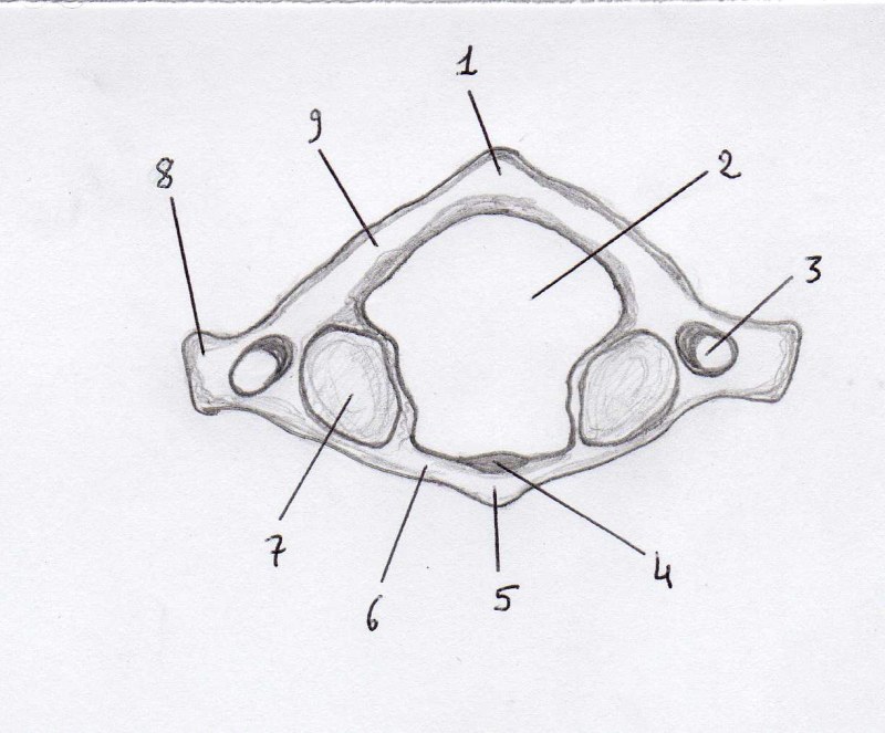 Tasks for building in mirrors