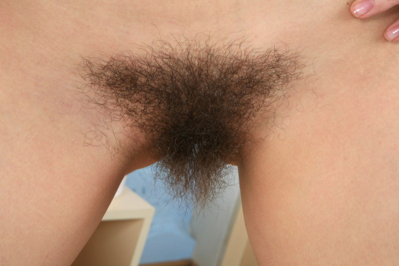 Beautiful hairy pubis