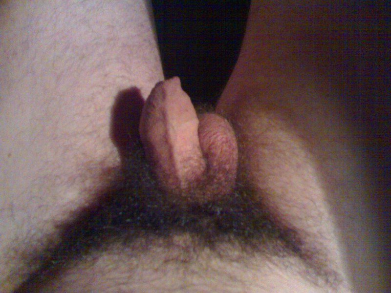 Little hanging penis