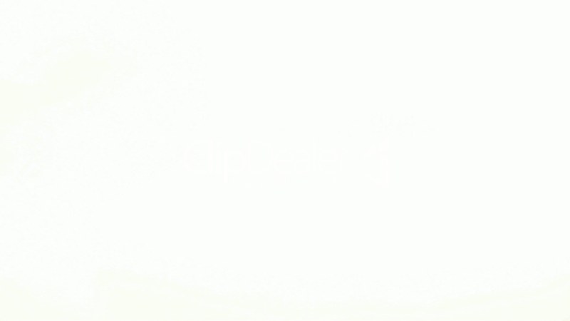 Mushroom Road and Radosd