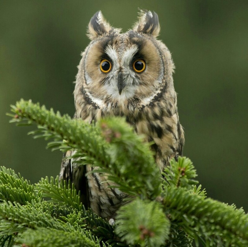 The image is not available