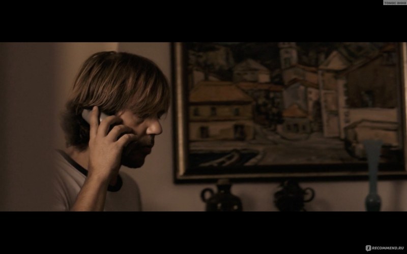 Serbian film (Sdzhan Spasoevich, 2010)