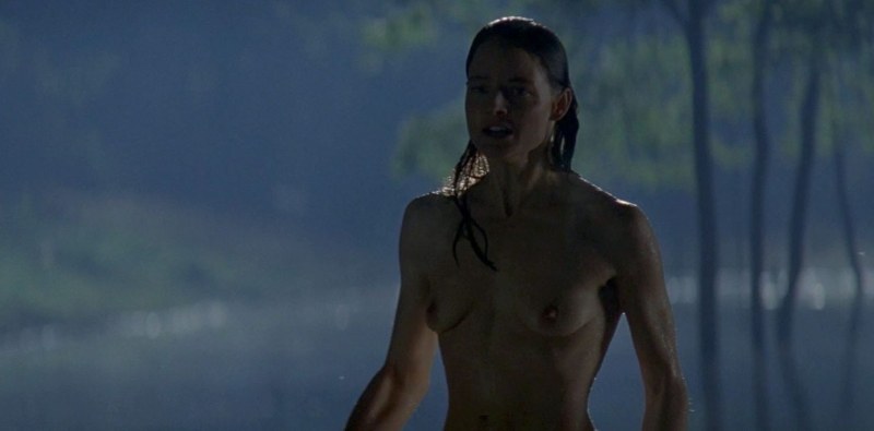 Jodie Foster Pornography