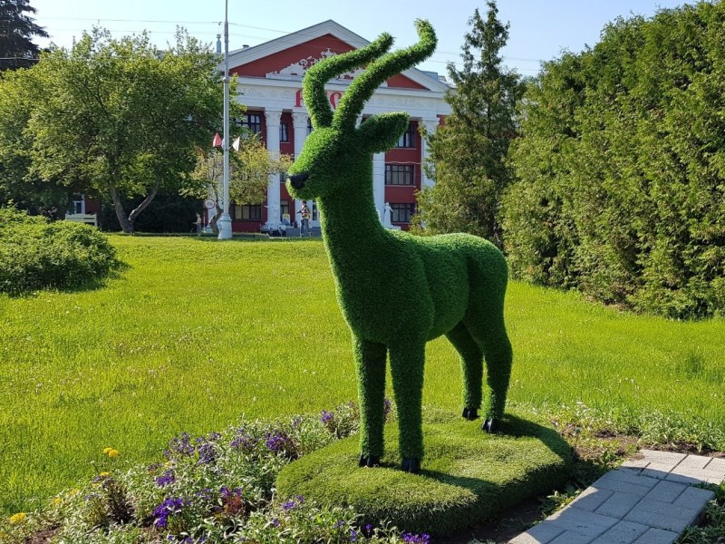 Event plan in the sanatorium Ust Kachka