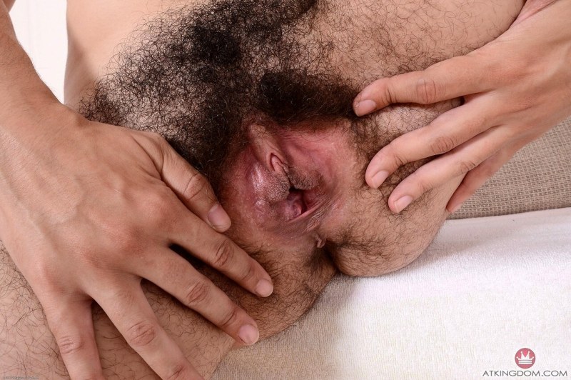 Beautiful hairy women's pussies