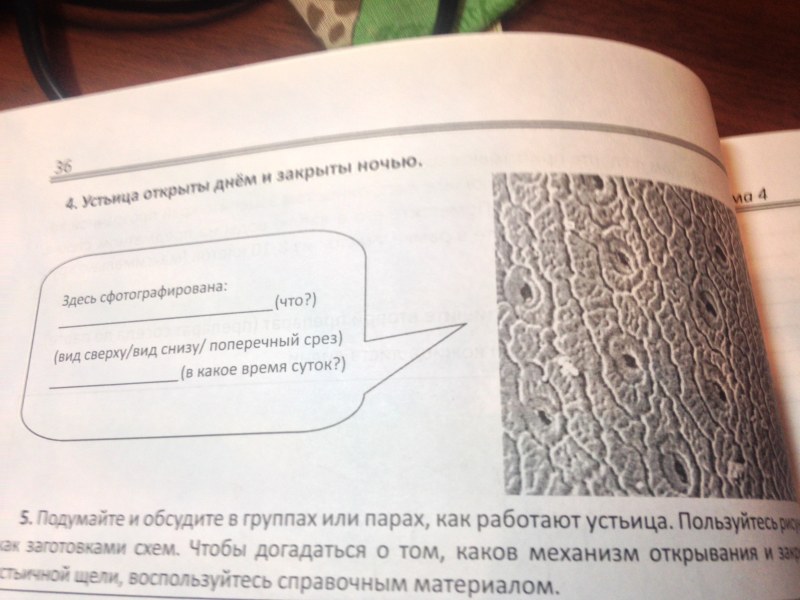 Transparent panties from below