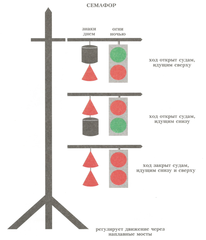 External structure of the shark Katran