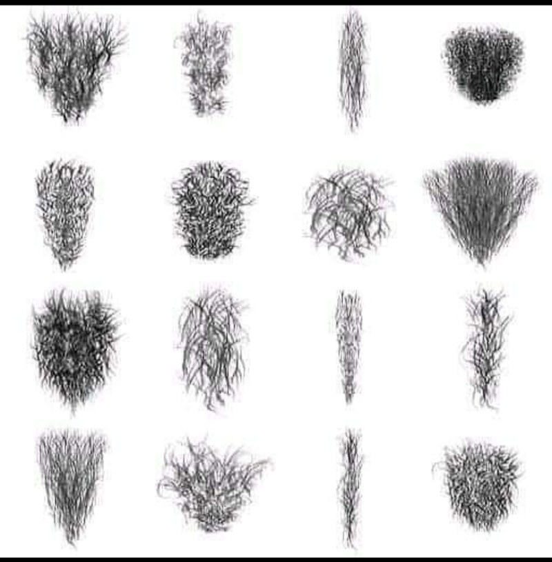 Women's pubic hairstyles