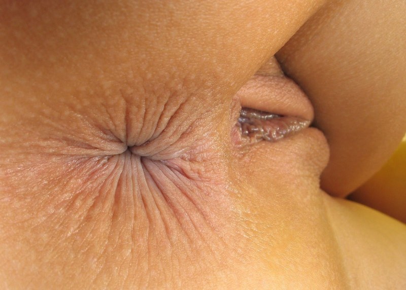 Appetizing female anuses