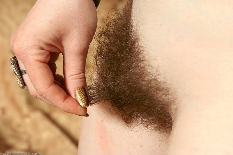 Hairy fluffy pubis