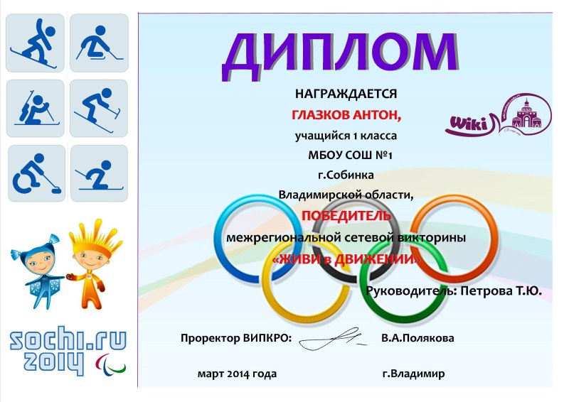 BPW 295x430 shock absorber