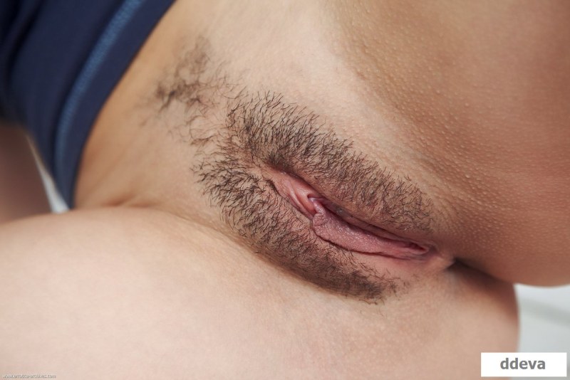 Beautiful hairy female pubis