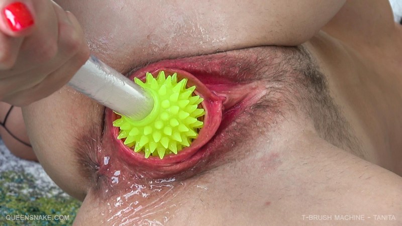 Put a cactus in a vagina