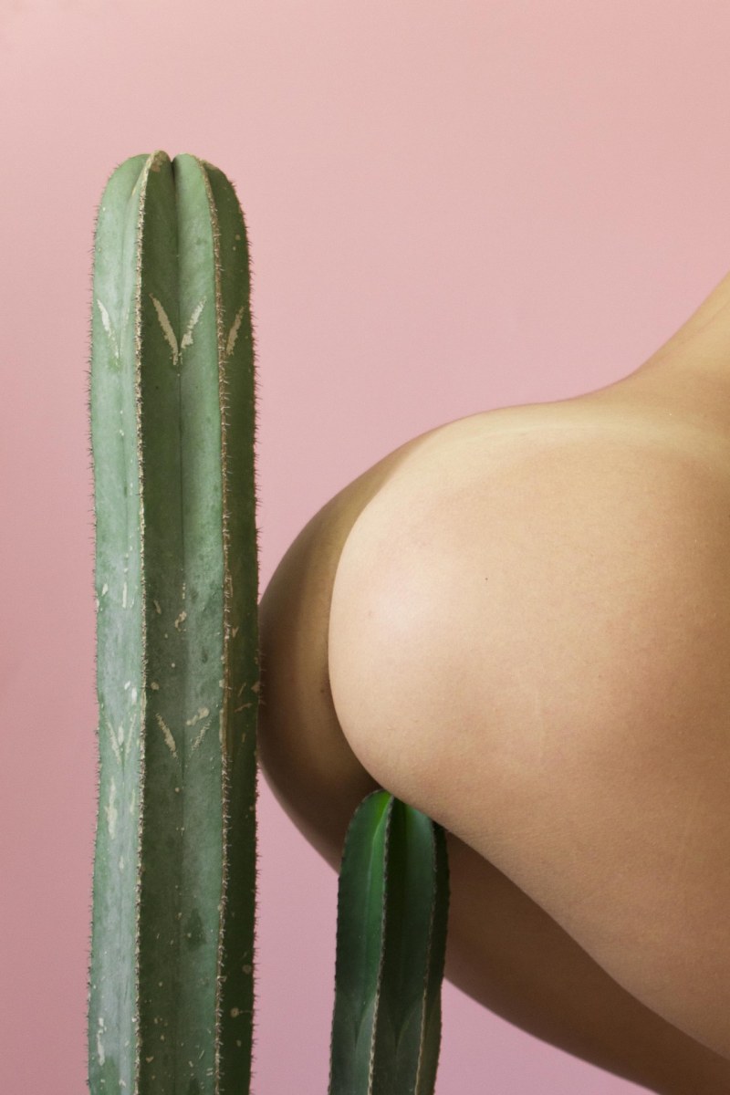 Sat down with a naked booty on a cactus