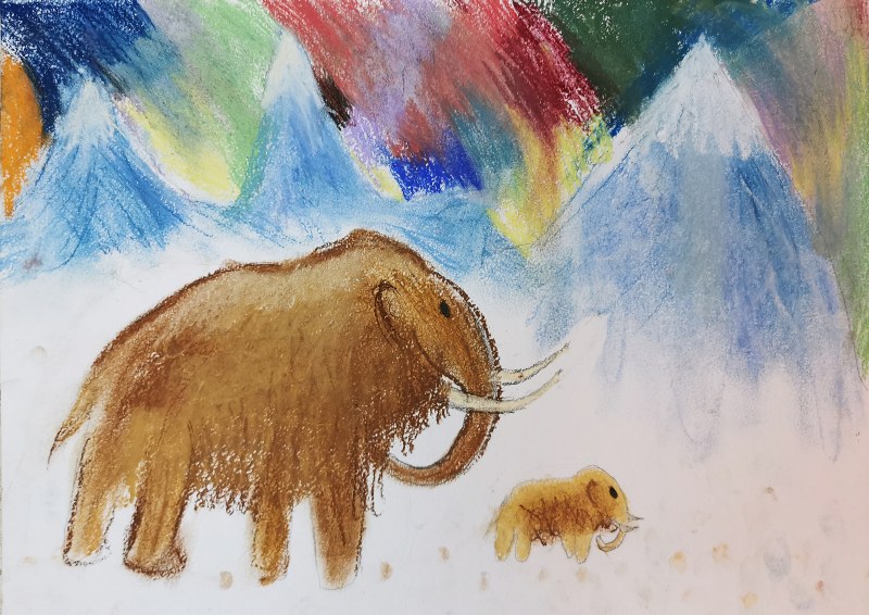 Gas Dymes Protection Set Zeus 30u