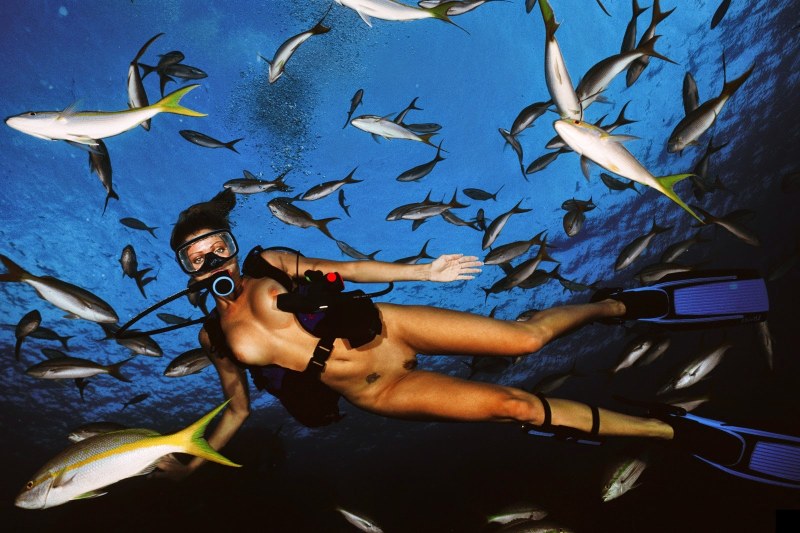 Swimming with scuba ducks