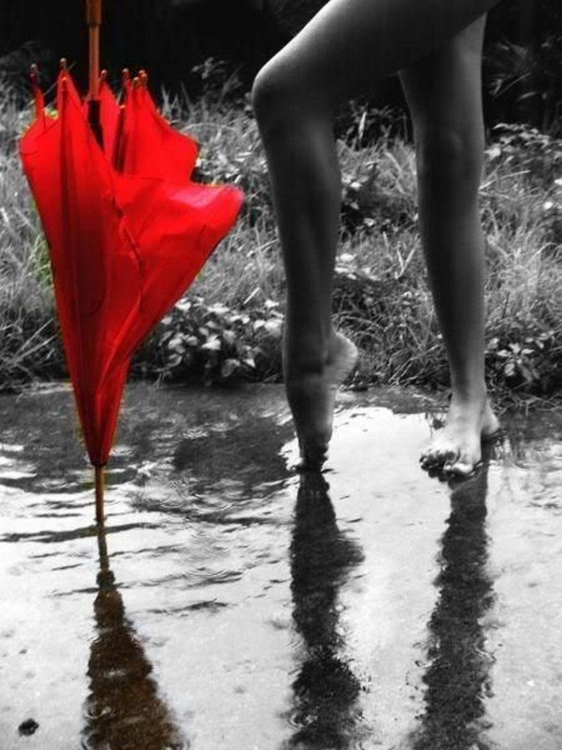 Nais lurex Gatta tights