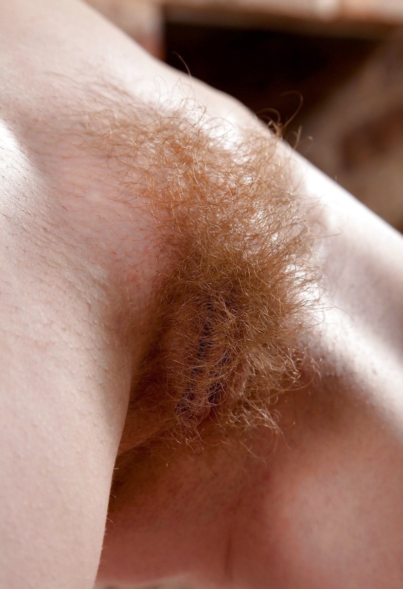 The most hairy female pubis
