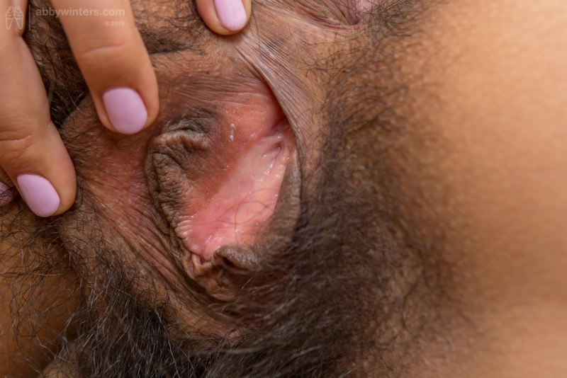 Member in hairy pussy large