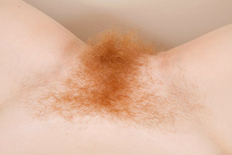 Natural blond hair on the pubis