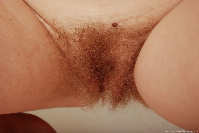 Red -haired hairy vagina under a skirt