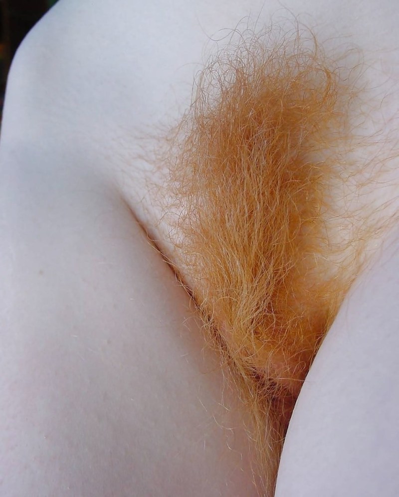 Red -haired hairy crotch