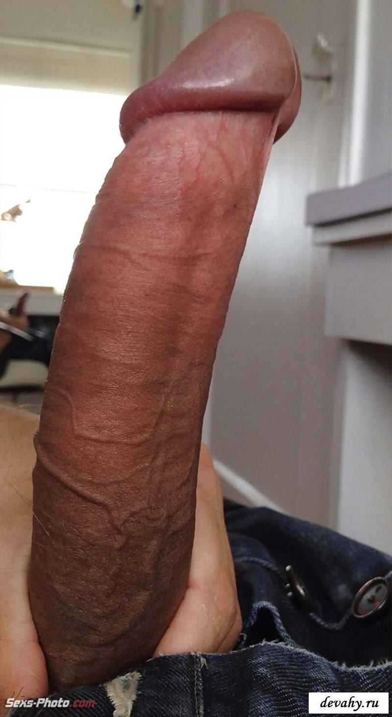 Large penis amateur