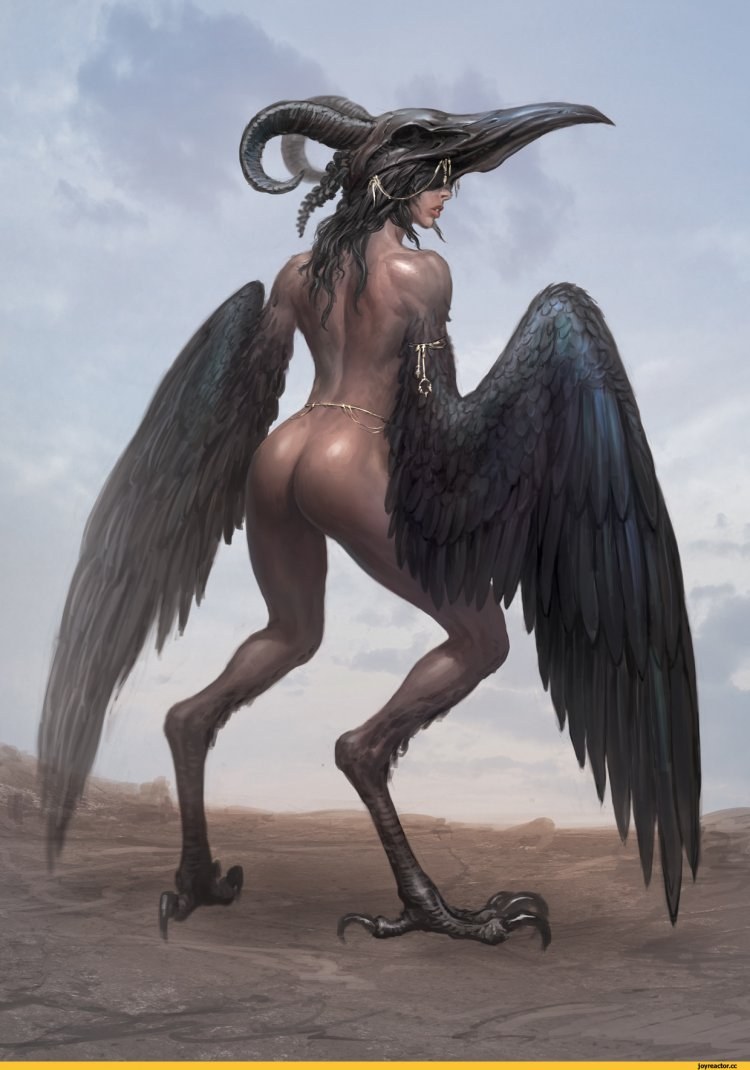 Harpi bird Greek mythology