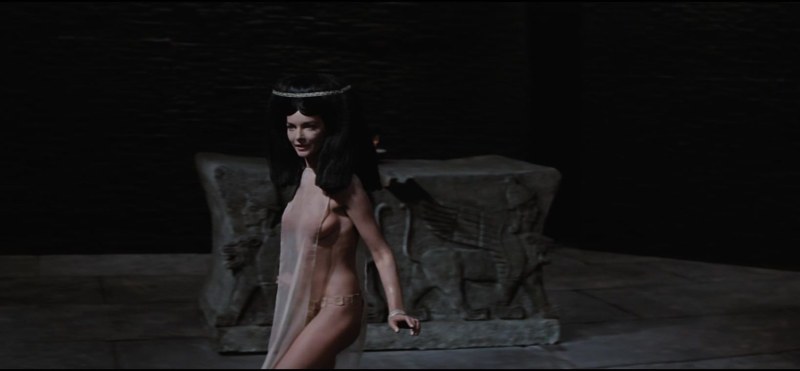 Barbara Brylsk in porn films