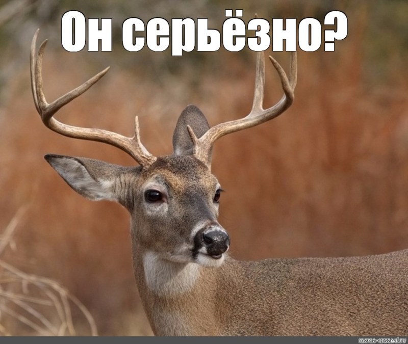 Inscriptions on a black background