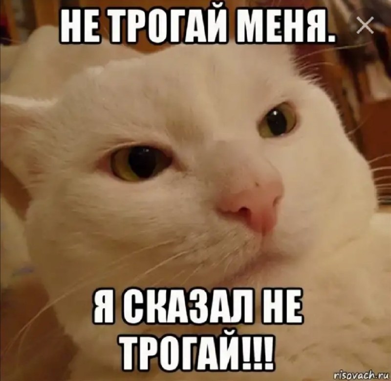 I'll go eat something