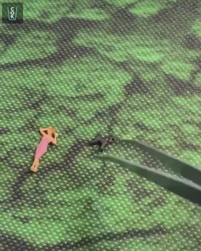 Renata Valliulina Popka