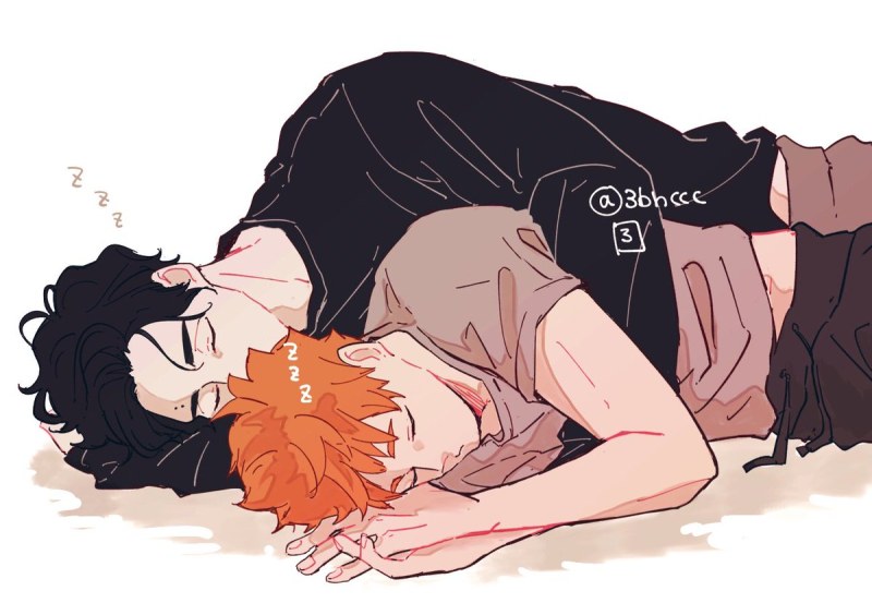 Hinata Shoyo and Sakusa Kiyomi