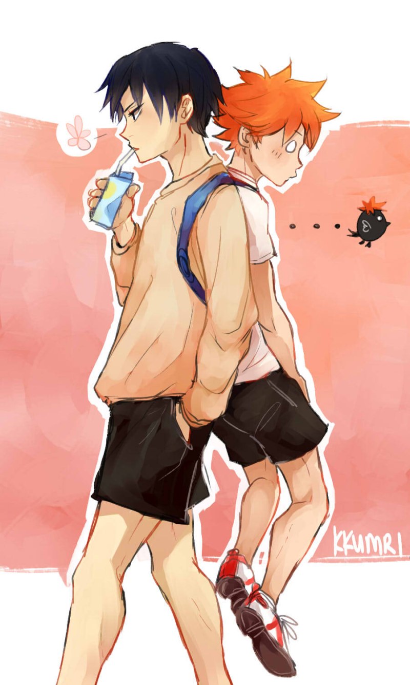 Suna Rintaro and Hinata Shoyo