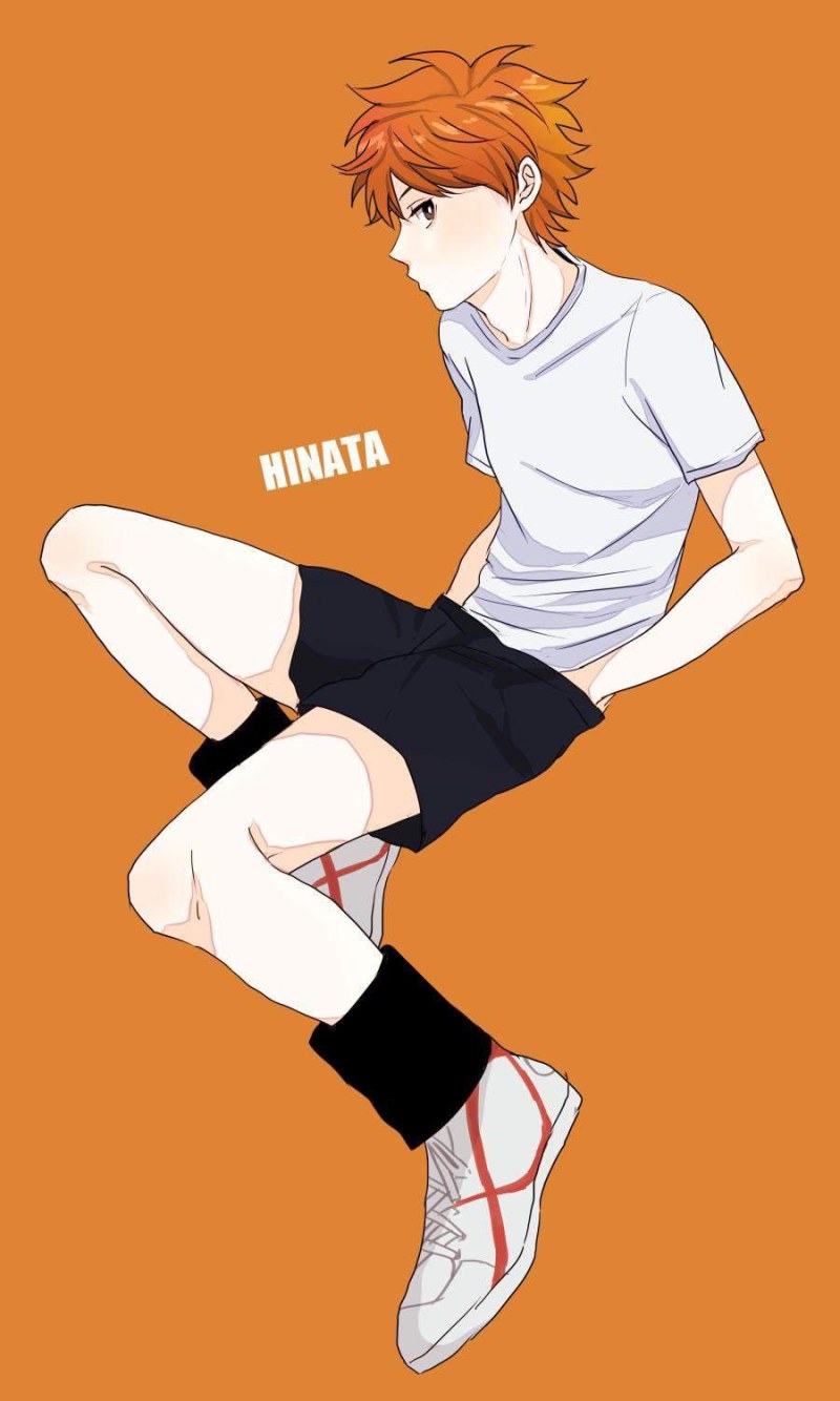 Hinata Kageyama and Oikawa 18