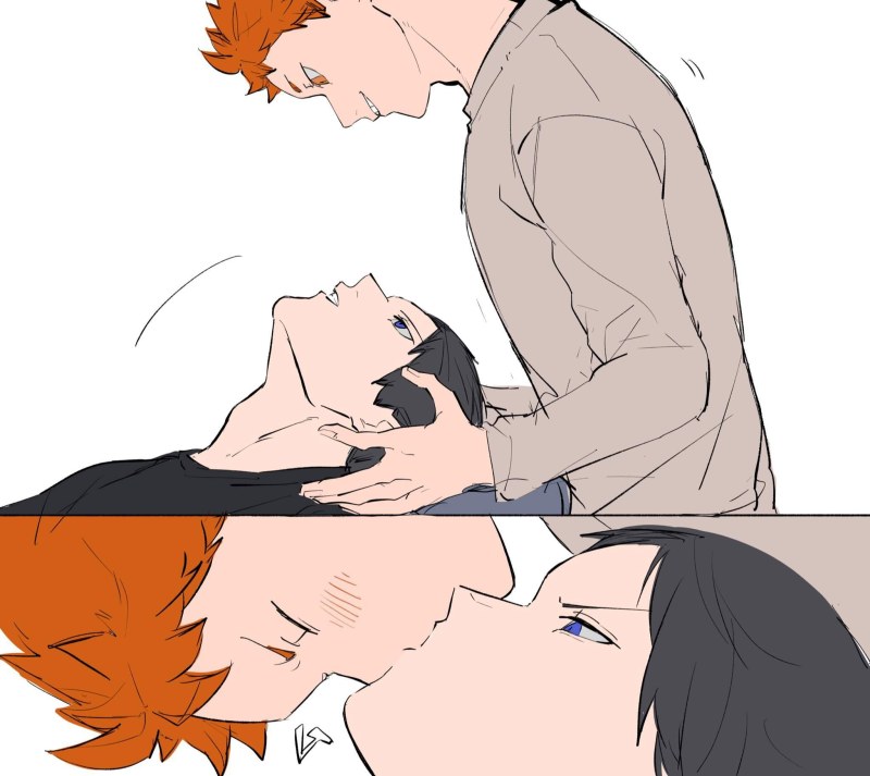 Hinata Shoyo and Sakusa Kiyomi