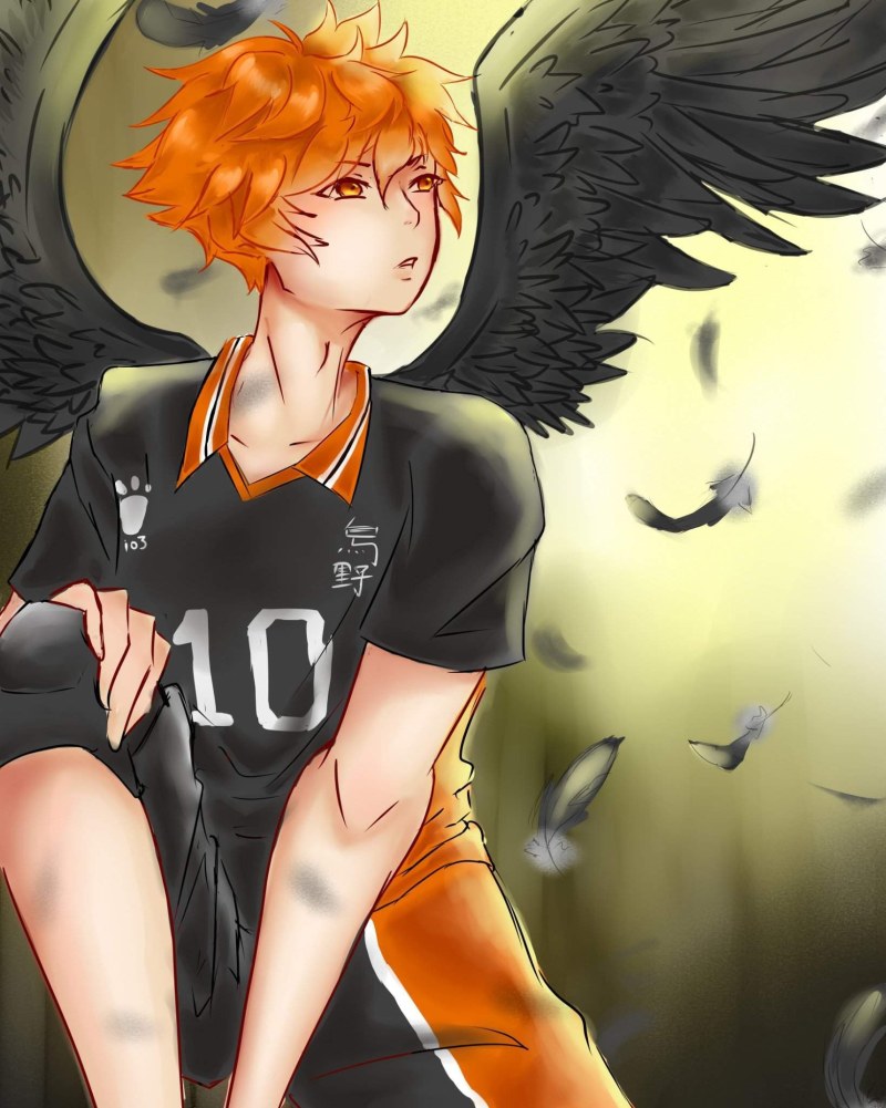 Hinata Shoyo in profile