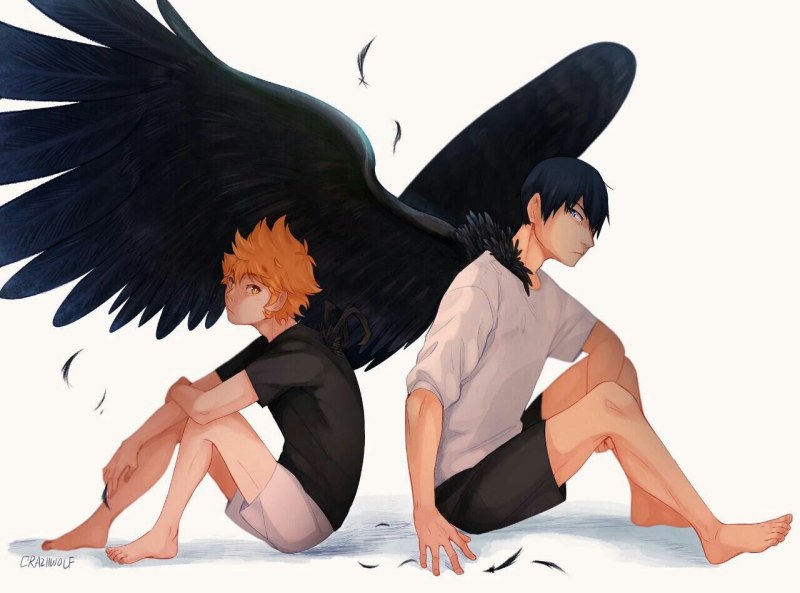 Hinata Shoyo torso 18