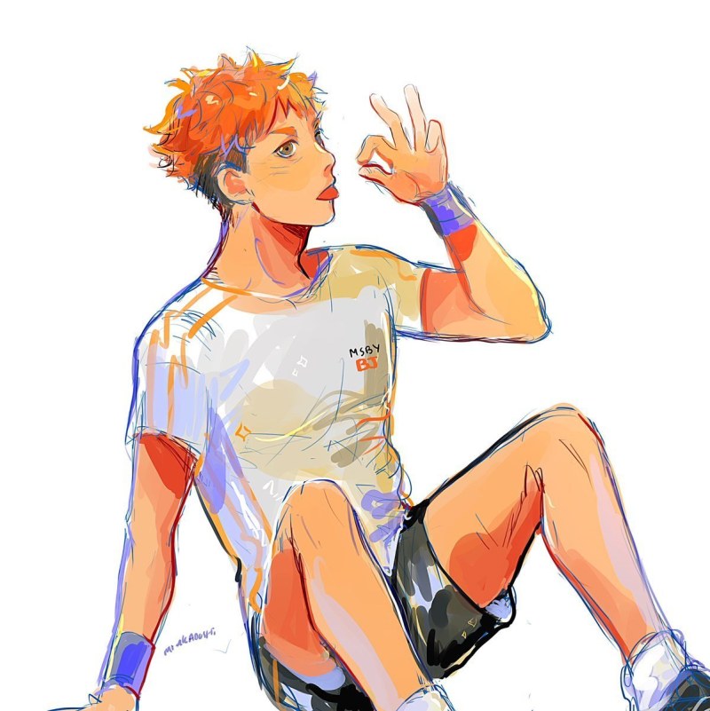 Hinata Shoyo and Brothers Mia