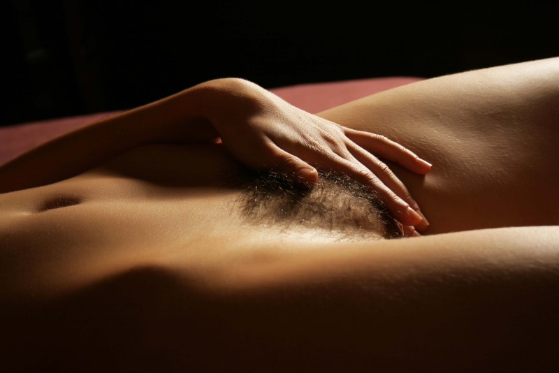 The most beautiful female pubis