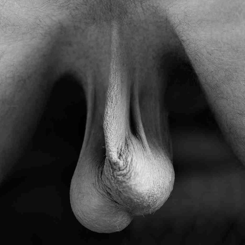 Naked guys with large eggs