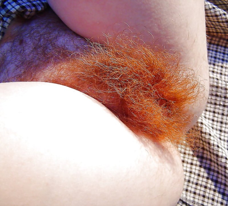 Red -haired hairy crotch