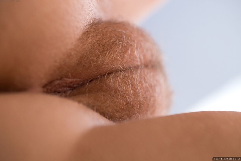 Beautiful hairy pubis