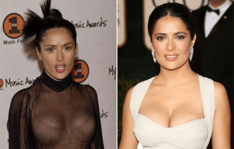 Breast ears of spaniel photo